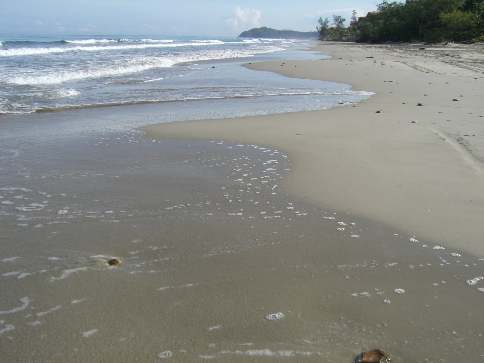 [Karin+nexus+028.jpg]