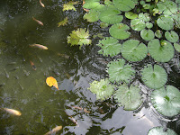 Karin+025 - Sällskap på morgonpromenaden