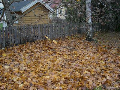 CIMG5910 - Promenader - bra för både kropp och knopp