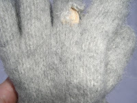 CIMG6496 - Promenad i den snöiga skogen