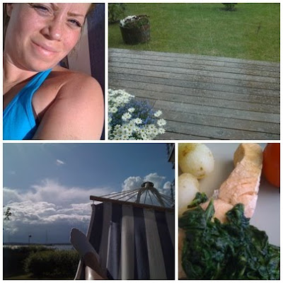 Sommar+h%C3%A4ngmatta+hagel+och+lax - Sommardag med sol, blomplockning och hagel