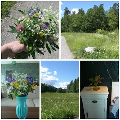 Sommar+och+blomplockning - Sommardag med sol, blomplockning och hagel