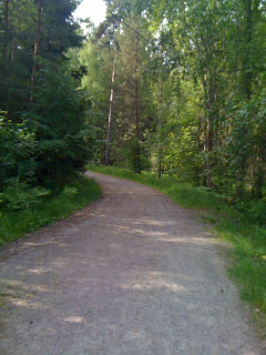 L%C3%B6pning+i+skogen - Löpning med backintervaller