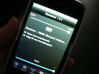 Malin+Baryard+sommarv%C3%A4rd - Sommarpratare som motivation för träning - Semestertips