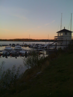 morgonl%C3%B6pning+006 - Härliga morgonlöpning