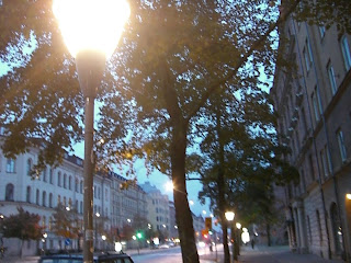 Morgon+h%C3%B6st - Morgonpromenad i höstgryning