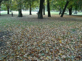 Humleg%C3%A5rden+en+kall+och+klar+h%C3%B6stmorgon+3 - En vacker höstmorgon i Stockholm