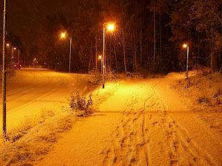 F%C3%B6rsta+sn%C3%B6n+oktober+2010+1 - Morgonpromenad i första snön