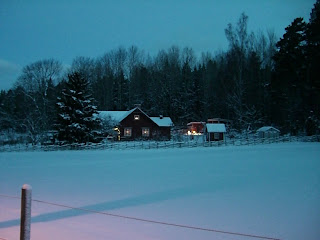 Vinterpromenad%2Bhemma%2B5 - Härlig morgonpromenad på hemmaplan
