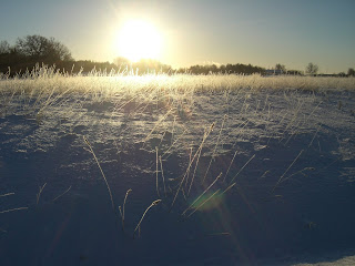 Vacker%2Bny%25C3%25A5rsafton%2B4 - En solig nyårsafton