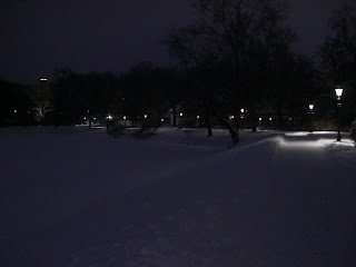 CIMG0284 - Lågintensiv träning med skön låååååångpromenad