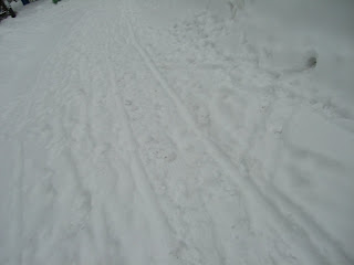 CIMG0427 - Löpning i snömodd