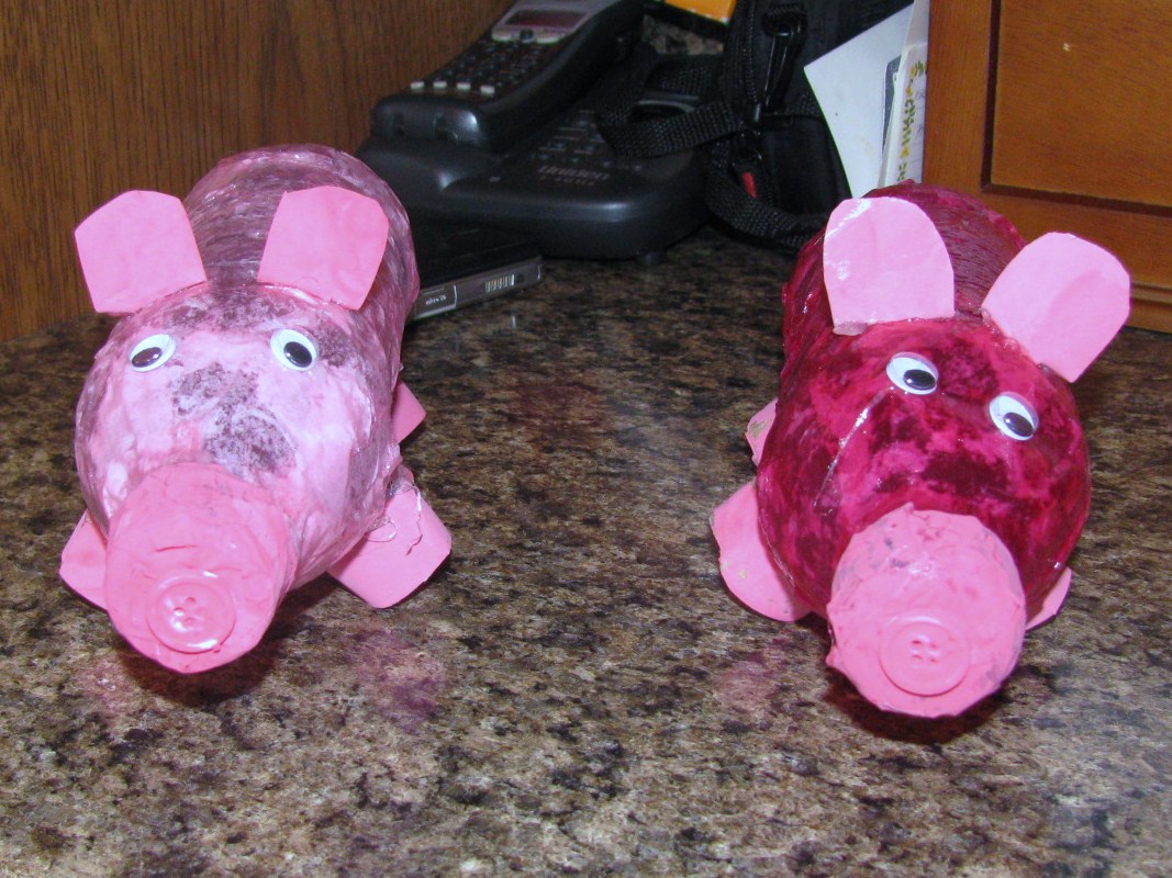 See what we did today Recycled Piggy Bank