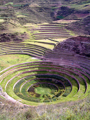 Milenioscopio Cultivo En Terrazas En Los Andes
