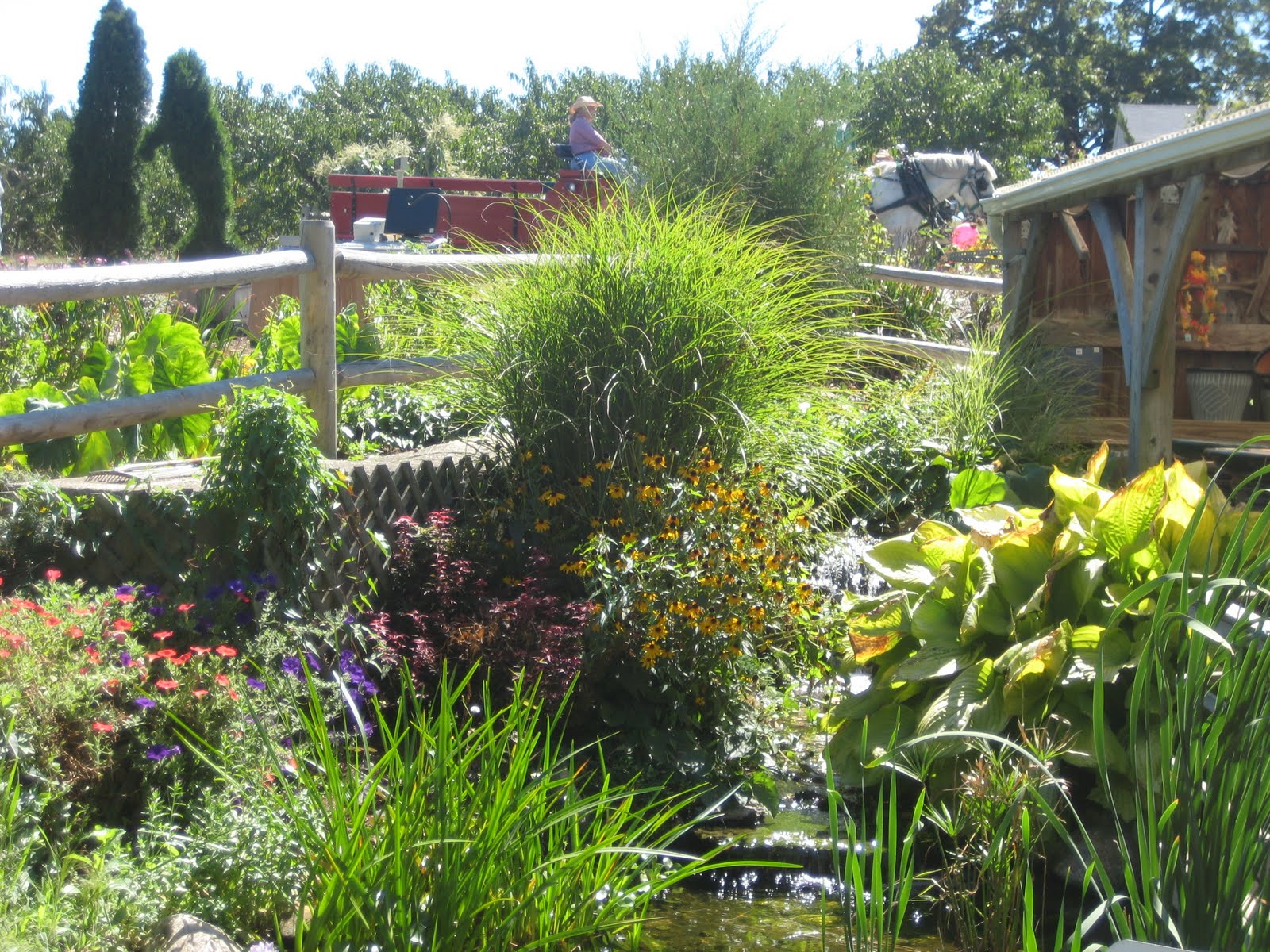 Cedar Knoll Farm Scott's Orchard