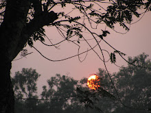 SUNRISE OR SUNSET?