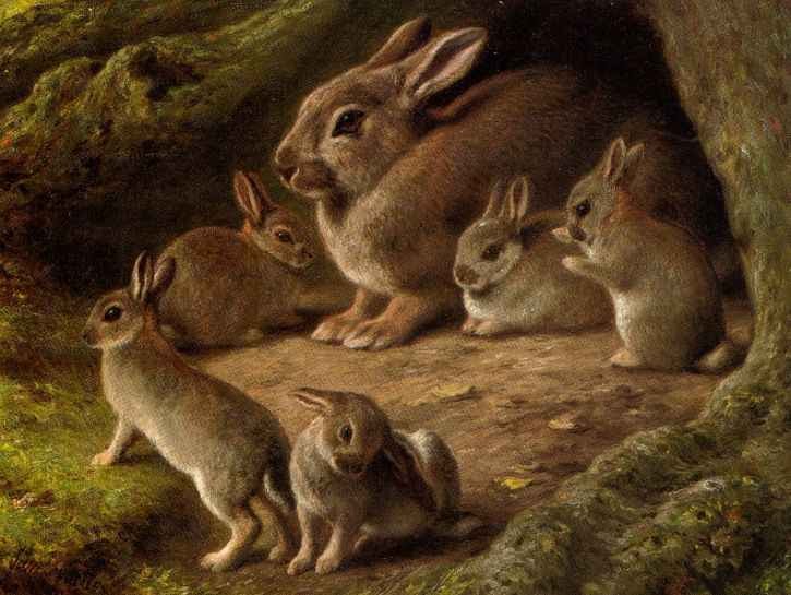 Развитие речи зайцы старшая группа. Зайчик в лесу. Зайчиха с зайчонком. Заяц с зайчатами в лесу. Заяц живопись.