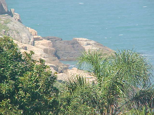 Rosa Norte