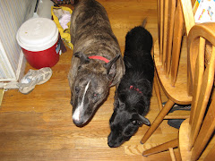 Max and Lucy