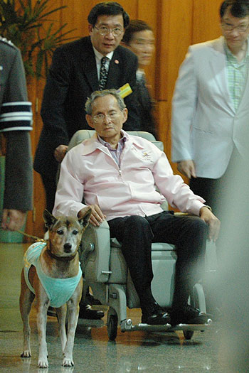 [553000003027702.jpg]