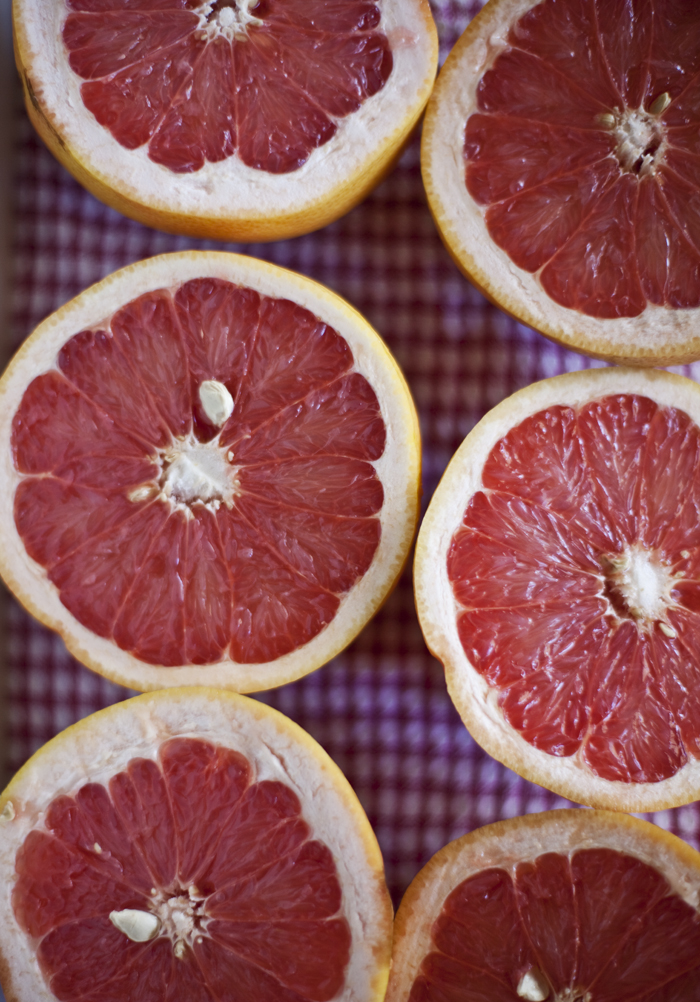 Yummy Supper RUBY RED GRAPEFRUIT & GINGER GRANITA