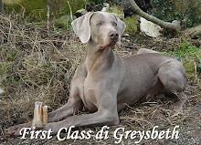 First Class di Greysbeth