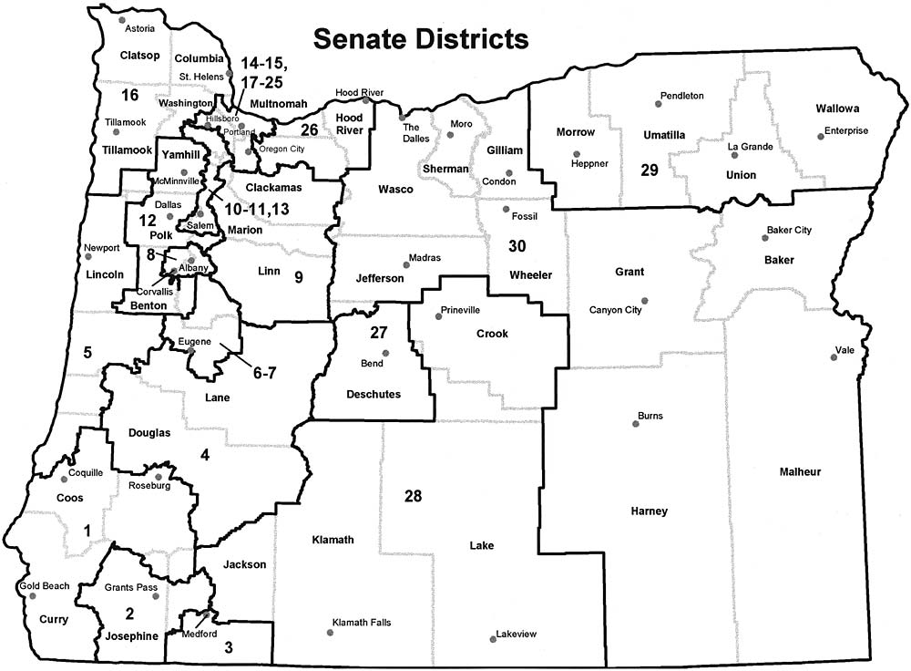 BIOLOGIA PARA A VIDA : MICOLOGIA: O MAIOR SER VIVO DO PLANETA - UM COGUMELO
