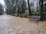 Invierno 2010