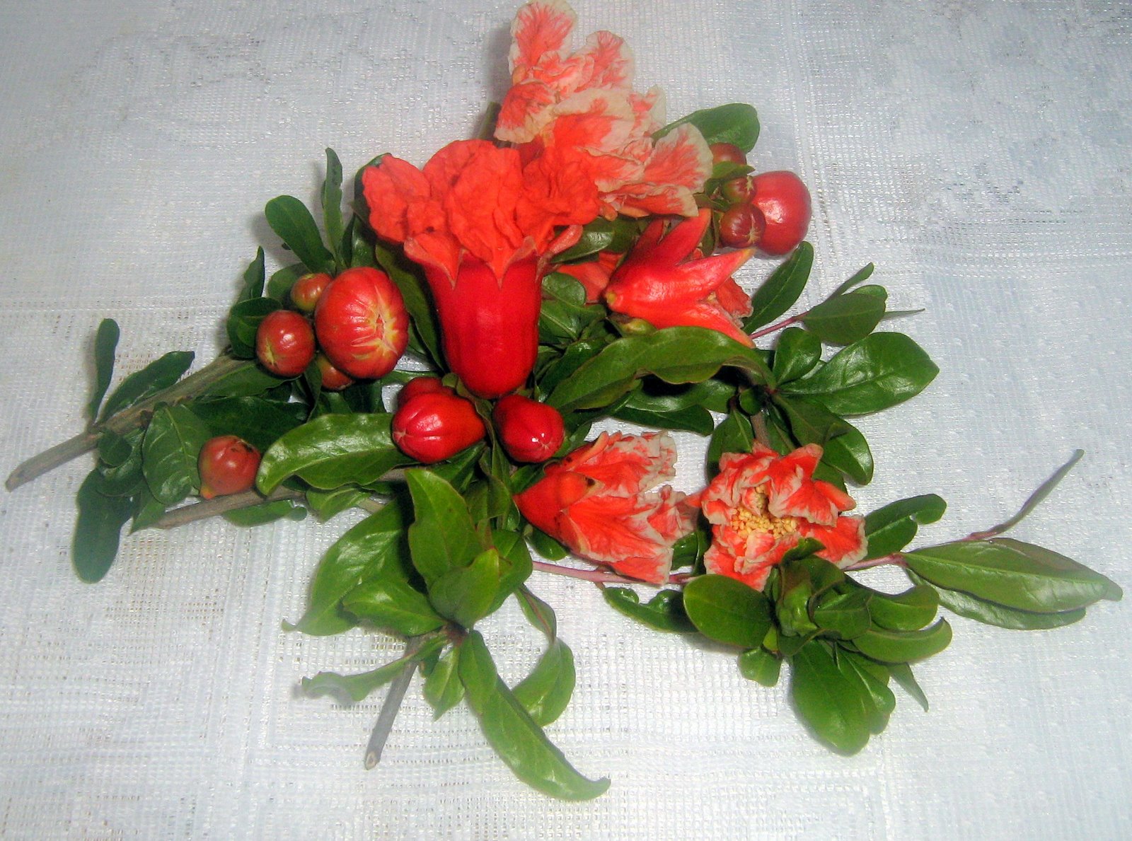 [COMIDA+BOA+071.jpg]