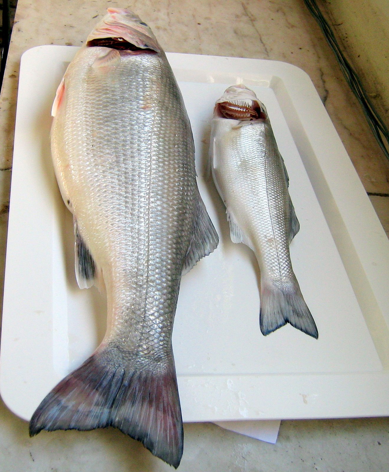 [comida+boa+811.jpg]