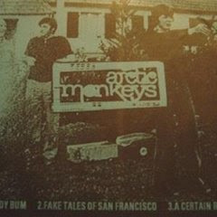 Arctic Monkeys Beneath the Boardwalk