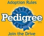 Pedigree Adoption Drive