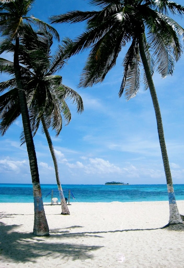 [2009-06-29_0030.jpg]