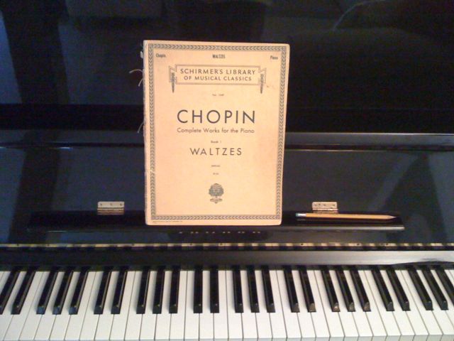 Chopin and Shambhavi