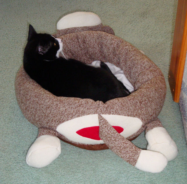 BIG MONKEY'S HOUSE Sock Monkey Cat Bed
