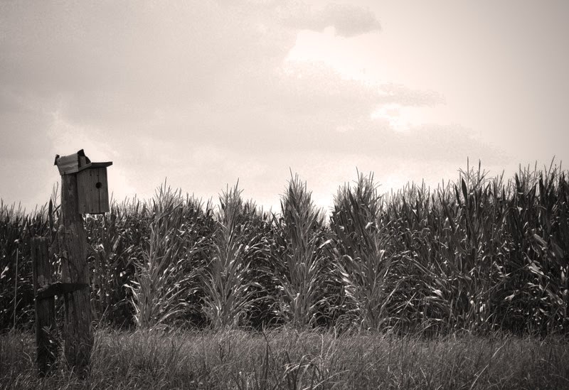 In this Southern life Where has June gone?