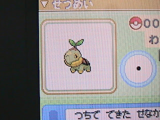 [PokeCommunity.com] Platinum Findings.. Anyone who's playing it post here..