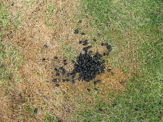 Arequipa+082.jpg Arequipa+082.jpg