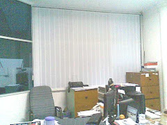 Vertical blinds