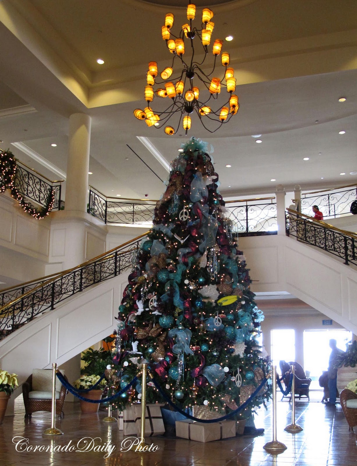 Coronado Daily Photo Christmas At Loews Coronado Bay