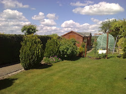 Lawn