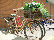 Bike Basket Bloomin'.