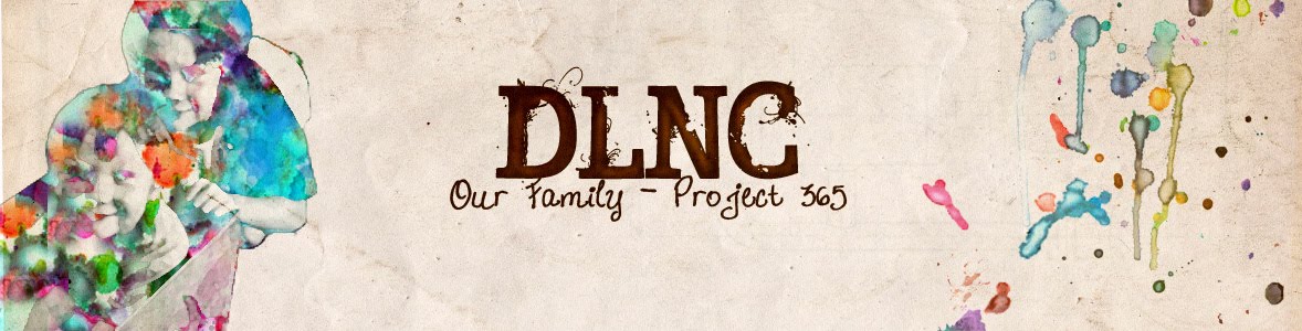 DLNC-Project 365