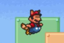 Guaxinim Mario