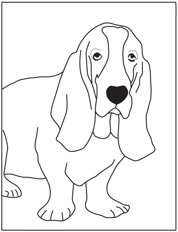 Download Basset Hound Coloring Pages