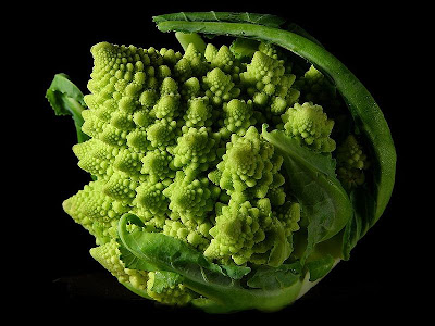 Romanescu.jpg