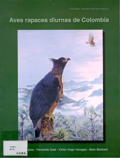 rapaces.jpg