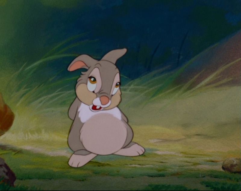 [thumper.jpg]