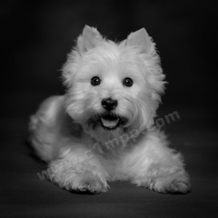 [0040_LaraShields_090905-726230.jpeg]