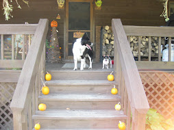 Jessie and Lucy